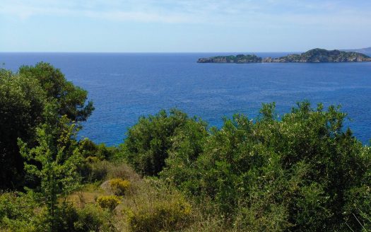 Land for sale in Afionas, Corfu