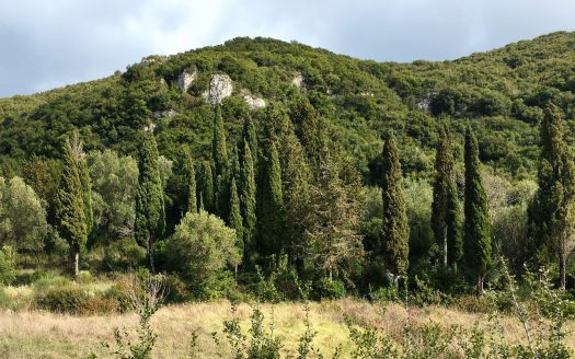 Land for sale in Alimmatades, Corfu